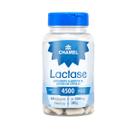Lactase Chamel 4500 FCC 60 Cáp Suplemento Alimentar Lactase Chamel 4500 FCC 60 Cáp Suplemento Alimentar