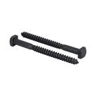 Lag Bolts Makers Bolt Rustic Square Ruspert Black 1/4x3" 25P