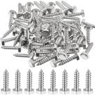 Lag Bolts Zonon 100 unidades de 6,35 x 2,54 cm, cabeça hexagonal, aço inoxidável 304