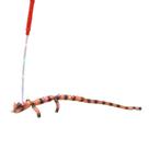 lagarto jacaré calango de leed