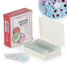 Lâminas de microscópio Amscope 25 unidades de vidro preparado com amostras