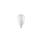 Lamp Led Alta Potencia 30w 6000k