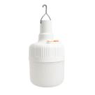Lâmpada 10 LEDs c/ Gancho Recarregável IP13 Alfacell