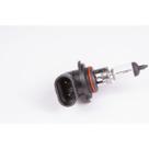 Lâmpada 12V 55W Toyota Corolla 1998 a 2014 Bosch