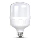 Lampada Alta Potencia T100 6500K