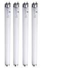 Lâmpada Bluex Bulbs, pacote com 4 lâmpadas T8 10W Bug Zapper Tube