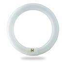 Lâmpada BULBMASTER FC12T9/D 32W 12" Daylight 6500K