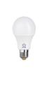 Lampada Bulbo 9w 6500k Up Led Lampada Bulbo 9w 6500k Up Led