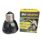 Lâmpada Cerâmica Aquecedor 110v 220v Repteis E Aves