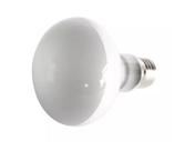 Lampada de Aquecimento UVA Focal Para Répteis Nomoy Pet 100w 110v
