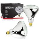Lâmpada de calor BULBMASTER 250W R40 Infrared E26 120V, pacote com 2