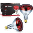 Lâmpada de calor BULBMASTER 250W R40 Lâmpadas de calor vermelhas para exterior, pacote com 2