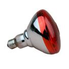 Lâmpada de calor infravermelha Fengrun Red Hard Glass 150W 120V