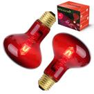 Lâmpada de calor infravermelho 100W AOMRYOM para répteis, pacote com 2