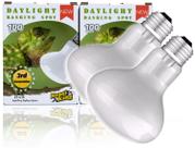 Lâmpada de Calor ReptiKing 100W para Répteis - Daylight Basking Spot
