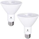Lâmpada de inundação LED Bluex Bulbs PAR30 12W 900lm 4000K, pacote com 2