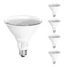Lâmpada de inundação LED Feit Electric PAR38 15W 1050lm 5 cores