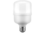 Lâmpada de LED Elgin Branca E27 20W - 6500K Super Bulbo T100