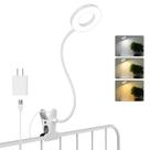 Lâmpada de mesa clip-on Woputne 10, brilho regulável, 3 modos