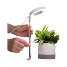 Lâmpada De Mesa LED Ajustável De Espectro Completo Para Cultivo Com Temporizador De 2, 4 E 8 Horas Lâmpada De Mesa LED Ajustável De Espectro Completo Para Cultivo Com Temporizador De 2, 4 E 8 Horas