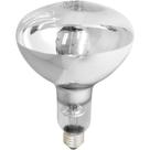 Lâmpada de Secagem Infravermelha 250w E-27 127v