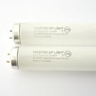Lâmpada de tubo fluorescente Master Of Light F20T12/D 20W