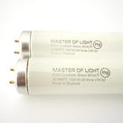 Lâmpada de tubo fluorescente Master Of Light F20T12/WW 20W
