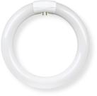 Lâmpada Feit Electric FC9 9" Circline 1400 lúmens 120-277V