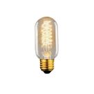 Lâmpada Filamento De Carbono Modelo T45 40w 110v~130v 2400k