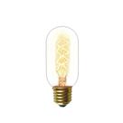 Lâmpada filamento de carbono taschibra t45 40w 127/220v Lâmpada filamento de carbono taschibra t45 40w 127/220v