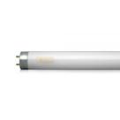 Lampada fluorescente 15w luz do dia t-8 - Foxlux Lampada fluorescente 15w luz do dia t-8 - Foxlux