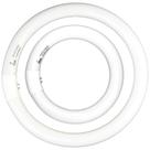 Lâmpada fluorescente CHKADAWA FC8T9 22W e FC12T9 32W Daylight