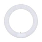 Lâmpada Fluorescente Circline Técnica Precision FCL30EX-L 30W 23 cm Lâmpada Fluorescente Circline Técnica Precision FCL30EX-L 30W 23 cm