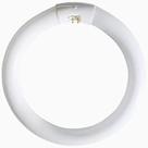 Lâmpada fluorescente GE 30W 9cm 4 pinos Circline 3000K