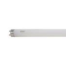 Lâmpada Fluorescente Tubular T8 6.500K 18W - Taschibra