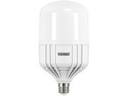 Lâmpada Forte High Led Tkl 225 E27 40w 6500K Taschibra