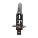 Lampada H1 24v 70w Lampada H1 24v 70w