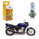 Lampada H4 Led Eco 6500K Moto Honda CB 500 1997 1998 1999 2000 2001 2002 2003 2004 2005 Lampada H4 Led Eco 6500K Moto Honda CB 500 1997 1998 1999 2000 2001 2002 2003 2004 2005