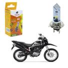 Lampada H4 Led Eco 6500K Moto Honda NXR 160 2015 2016 2017 2018 2019 2020
