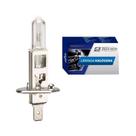 Lâmpada Halógena H1 55W 12V Tiger Auto - NP03160002