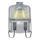 Lâmpada Halógena Halopin Bipino G9 60W 220V Clara - Ouropin