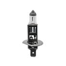 Lâmpada Halógena Standard H1 55W 12V P14.5s 4300K Code Lâmpada Halógena Standard H1 55W 12V P14.5s 4300K Code