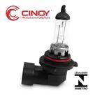 Lâmpada Hb4 Halógena Cinioy 51w Carro Farol Comum Amarela - Cinoy