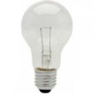 Lampada Incandescente Baixa Voltagem Brasfort 25 X 12V 8563