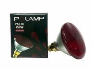 Lâmpada Infravermelho, 110v - Polamp Lâmpada Infravermelho, 110v - Polamp