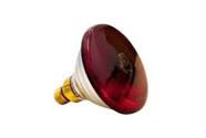 Lâmpada infravermelho 150w- Polamp