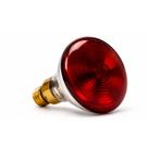 Lâmpada Infravermelho Fisioterapia Infralight 150w (110v)