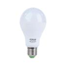 Lâmpada LED A60 15W 6500K Bivolt - Foxlux - Substitui Incandescente - Luz Branca Lâmpada LED A60 15W 6500K Bivolt - Foxlux - Substitui Incandescente - Luz Branca