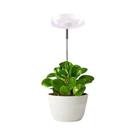 Lâmpada LED Ajustável De Espectro Completo Para Crescimento De Plantas, Luz Branca USB Com Tubo