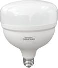 Lampada Led Blumenau T100 40W 6500K